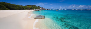 BVI Header Image